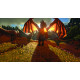 ARK Survival Evolved-used