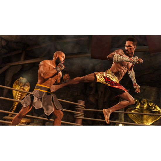 EA SPORTS UFC 4 EA SPORTS UFC 4