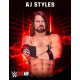 WWE 2K19 AR WWE 2K19 AR