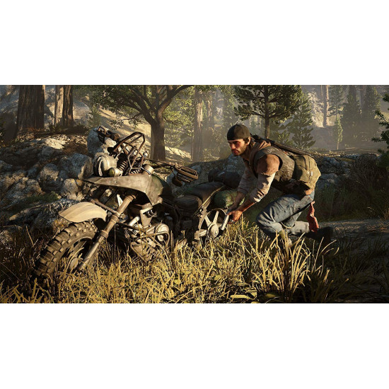 Days Gone-used Days Gone-used