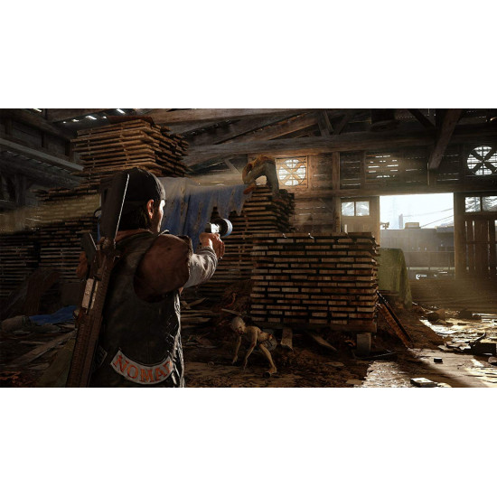 Days Gone-used Days Gone-used