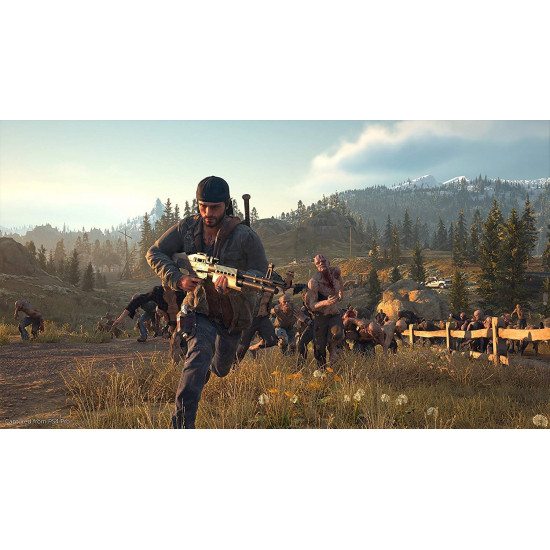 Days Gone-used Days Gone-used