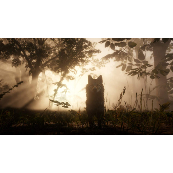 Red Dead Redemption 2 - Used Red Dead Redemption 2 - Used