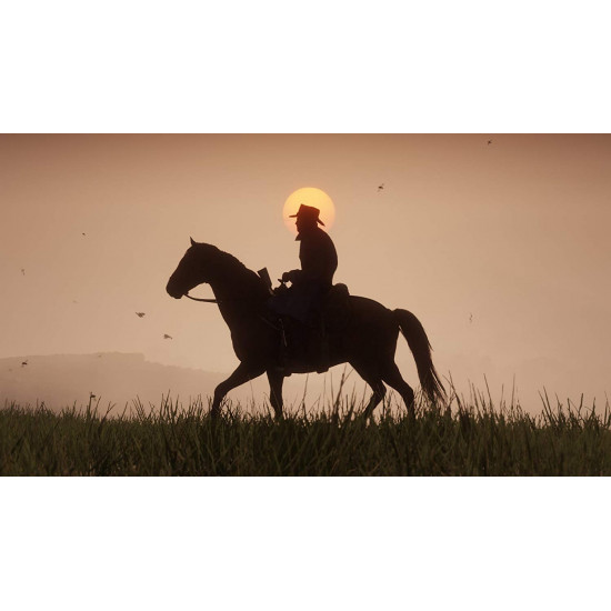 Red Dead Redemption 2 - Used Red Dead Redemption 2 - Used