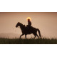 Red Dead Redemption 2 - Used Red Dead Redemption 2 - Used