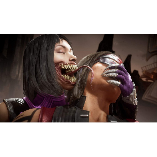 Mortal Kombat 11 Ultimate Mortal Kombat 11 Ultimate