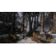 The Last of Us - Used The Last of Us - Used