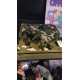 PlayStation 4 Army PlayStation 4 Army